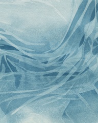 Marine Reflections II