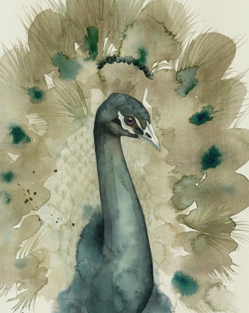 Sepia Peacock I