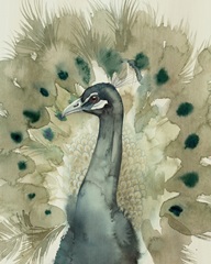 Sepia Peacock II