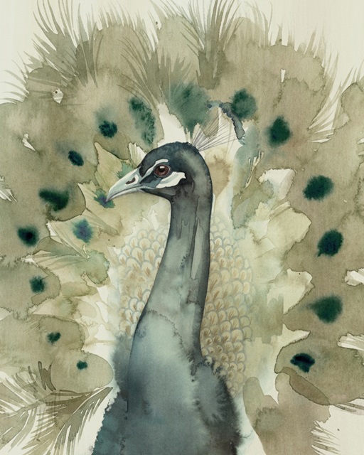 Sepia Peacock II