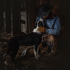 Cowboy's Devotion