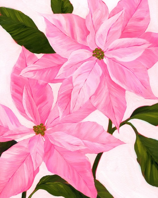 Neon Pink Poinsettias II