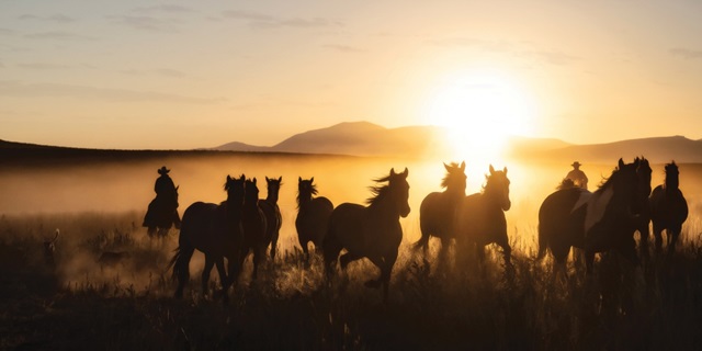 Ranch Horse Jingle