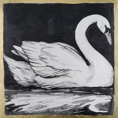 Night & Day Swan I