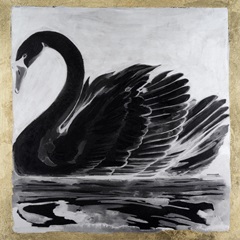 Night & Day Swan II