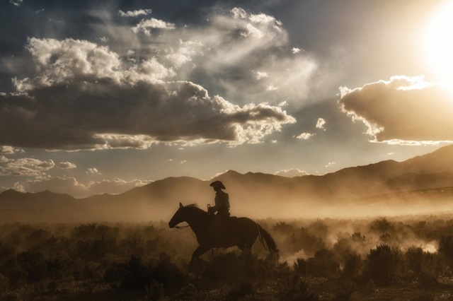 Cowboy By Day and Night I