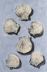 Embellished Seashells I