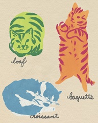 Important Cat Shapes I