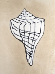 Assorted Embellished Shells I