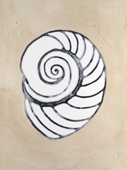 Assorted Embellished Shells IV