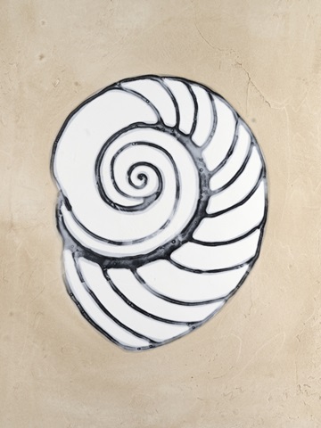 Assorted Embellished Shells IV