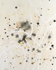 Embellished Blotter I