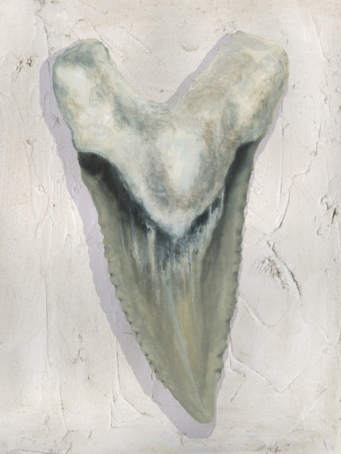 Watercolor Sharks Tooth II