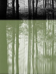 Pass Through A Forest I