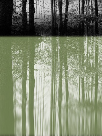 Pass Through A Forest I