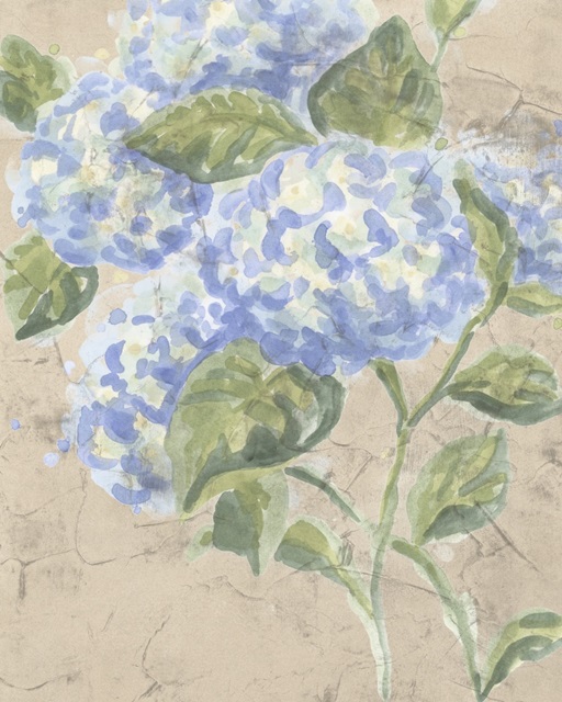 Vintage Hydrangea Fresco I