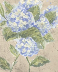 Vintage Hydrangea Fresco II