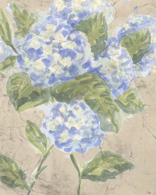 Vintage Hydrangea Fresco II