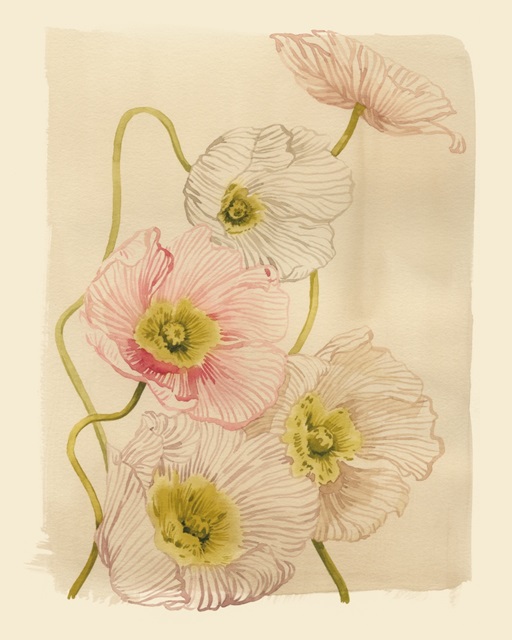 Vintage Summer Poppies I