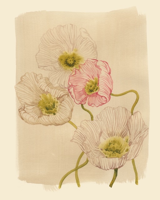 Vintage Summer Poppies II