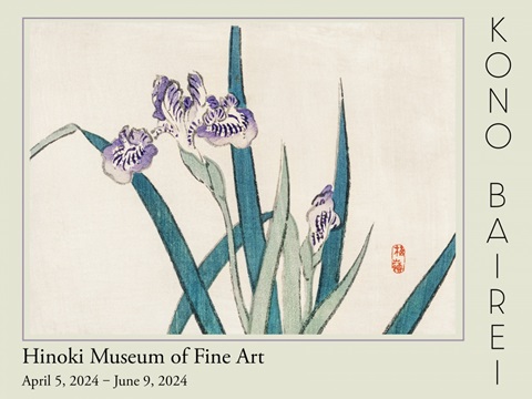 Barei Exhibition Flowers II