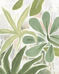 Tropical Graffiti II