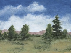 Alpine Meadow Ridge I