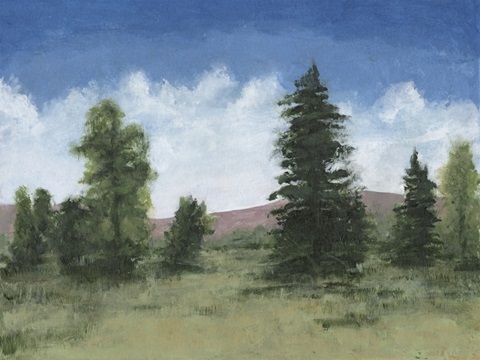 Alpine Meadow Ridge II