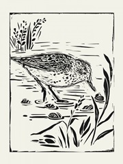 Linocut Style Seabird III