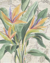 Map Flora I