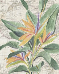 Map Flora II