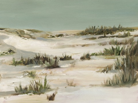 Cool Dunes II