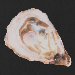 Oyster And Pearl I