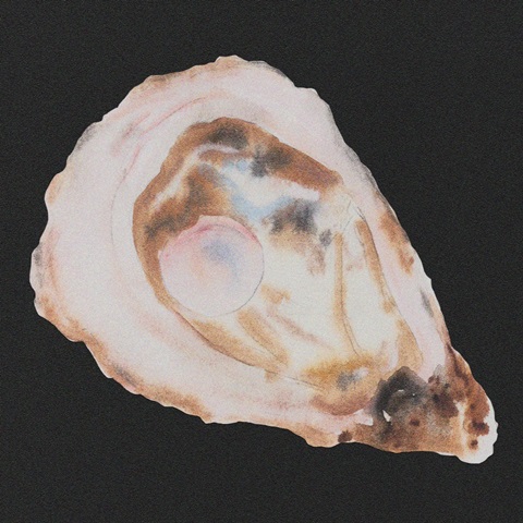 Oyster And Pearl I