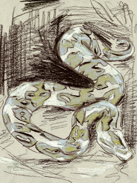 Python II