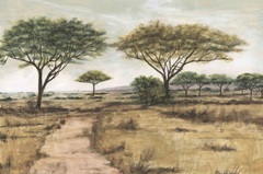 Savanna Plain I