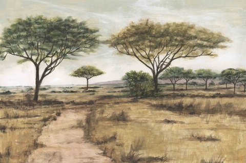 Savanna Plain I