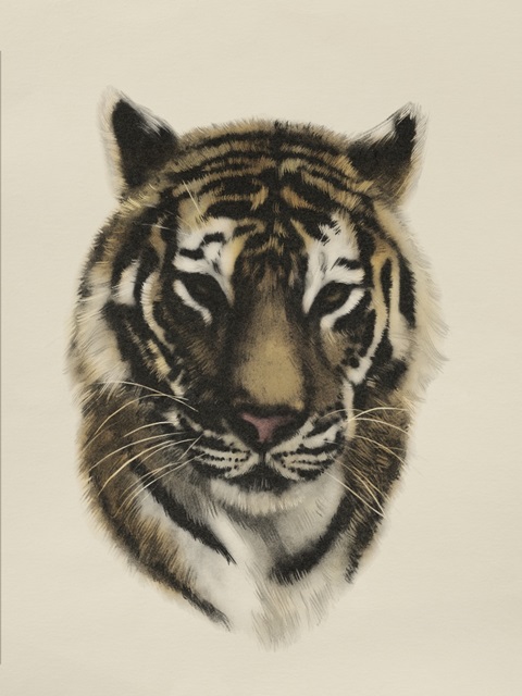 Antique Tiger Portrait I