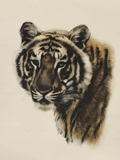 Antique Tiger Portrait II