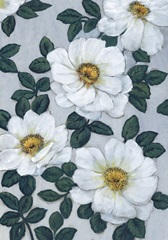 Bright White Flowers I