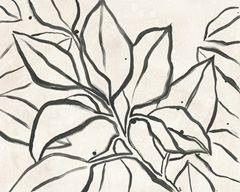 Parchment Brush Branch I