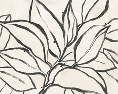 Parchment Brush Branch II