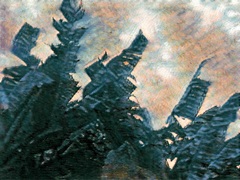 Cabana View Monet II