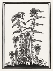 De Graag Graphic Botanicals I