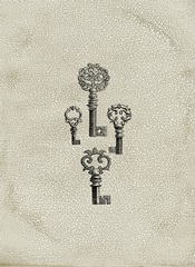 Mini Crackled Keys IV (RM)