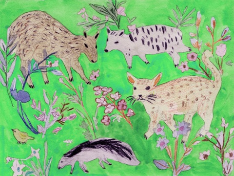 Quirky Meadow Menagerie II