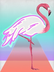 *Glowing Flamingo I