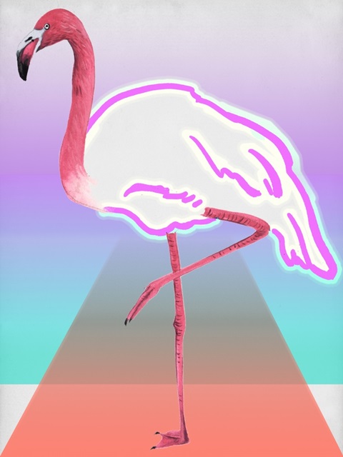 *Glowing Flamingo II