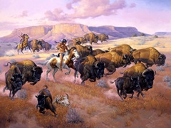 The Buffalo Hunt
