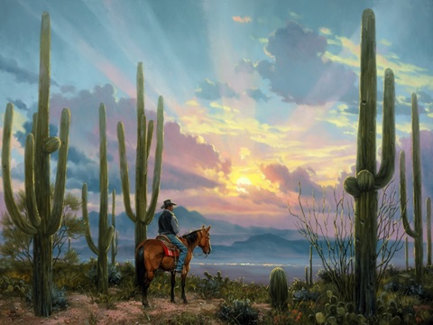 Desert Song